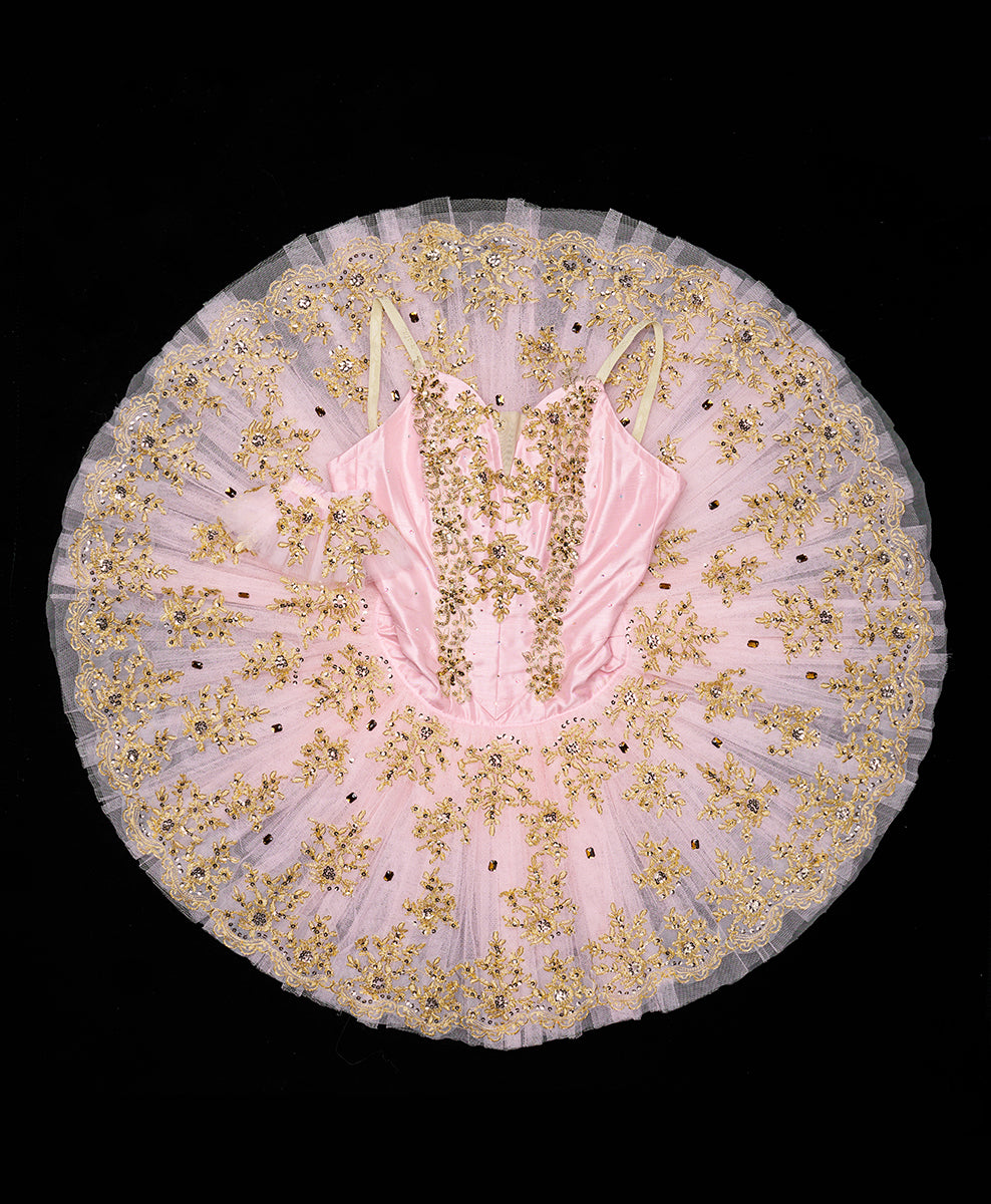 Designer Tutu Costume - A35 (Size M)