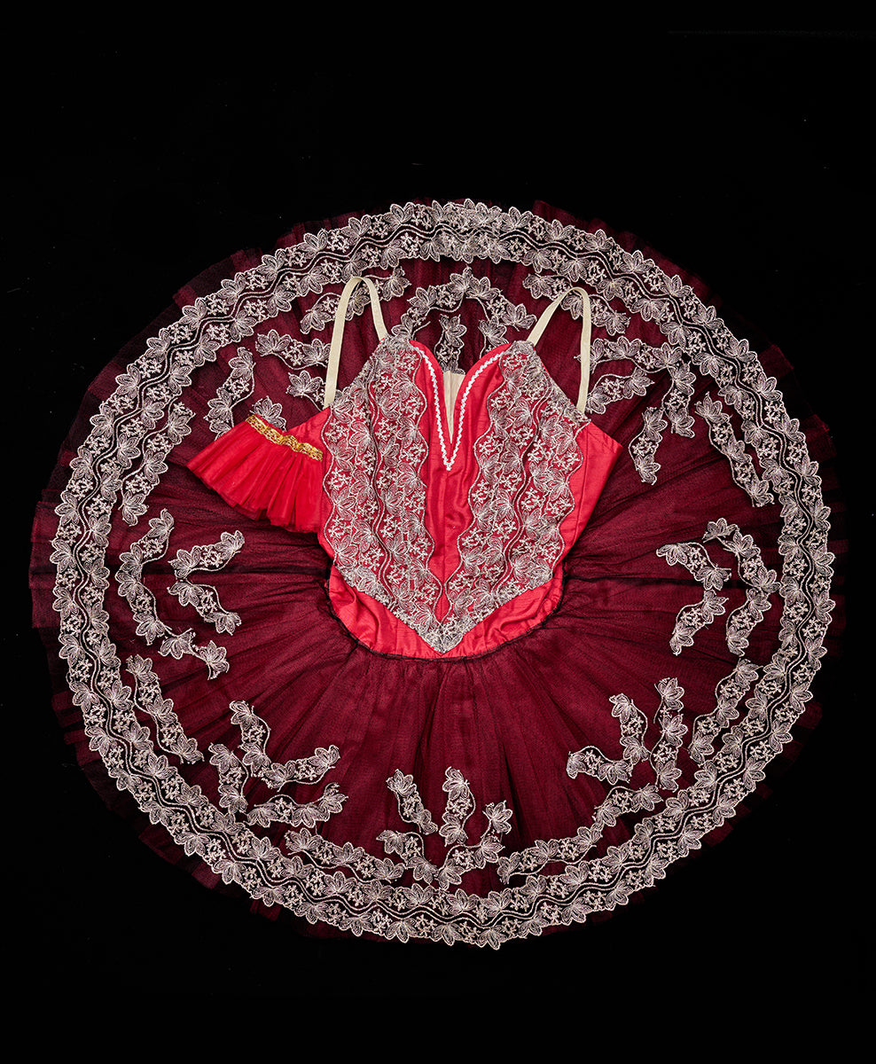 Designer Tutu Costume - A48 (Size S)