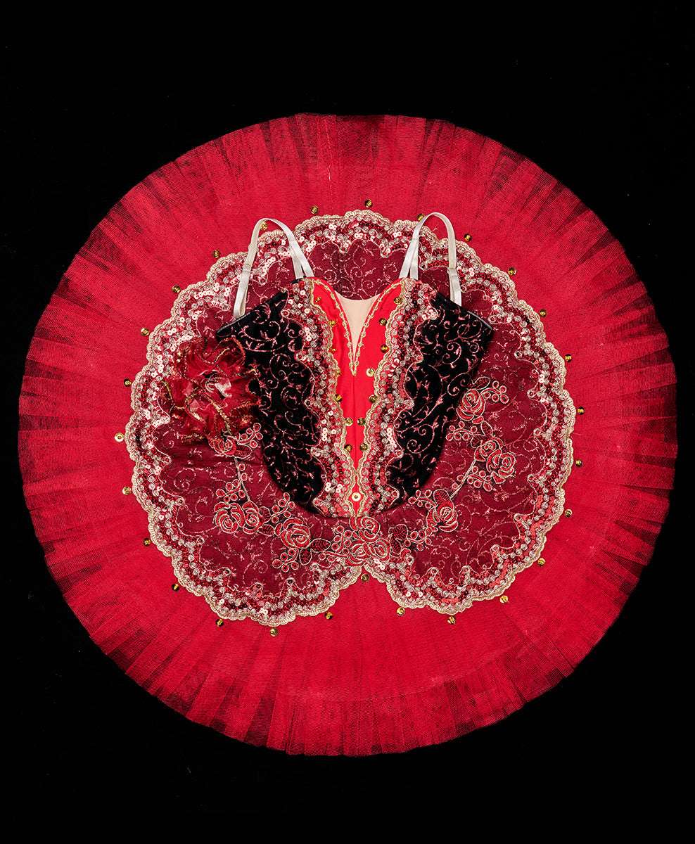 Designer Tutu Costume - C5 (Size XS)