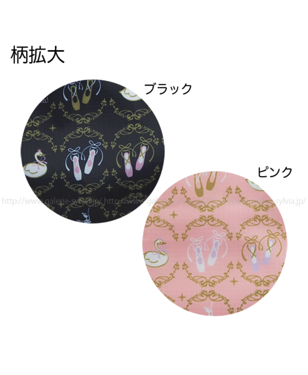 Sylvia FairyToe Ballet Shoe Case