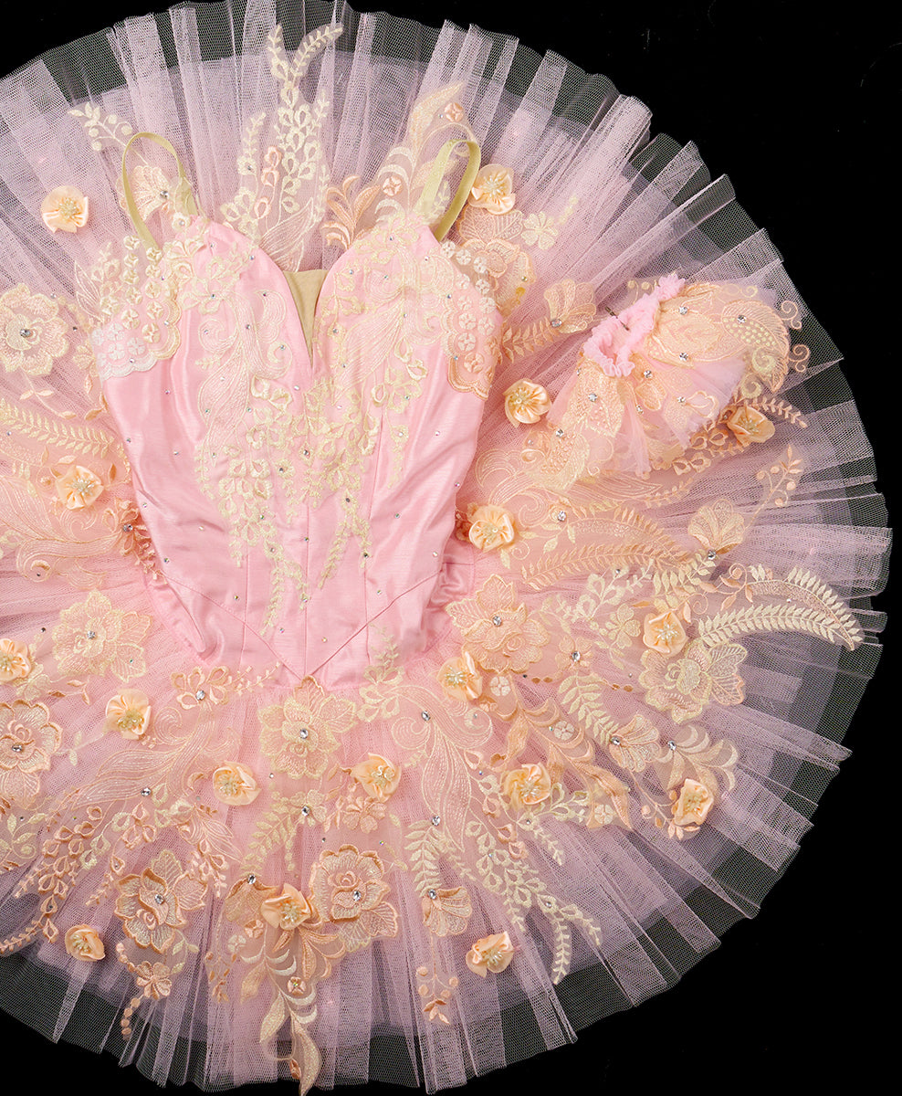 Designer Tutu Costume - A24 (Size XS)