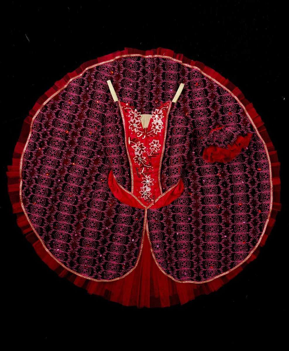 Designer Tutu Costume - A26 (Size S)