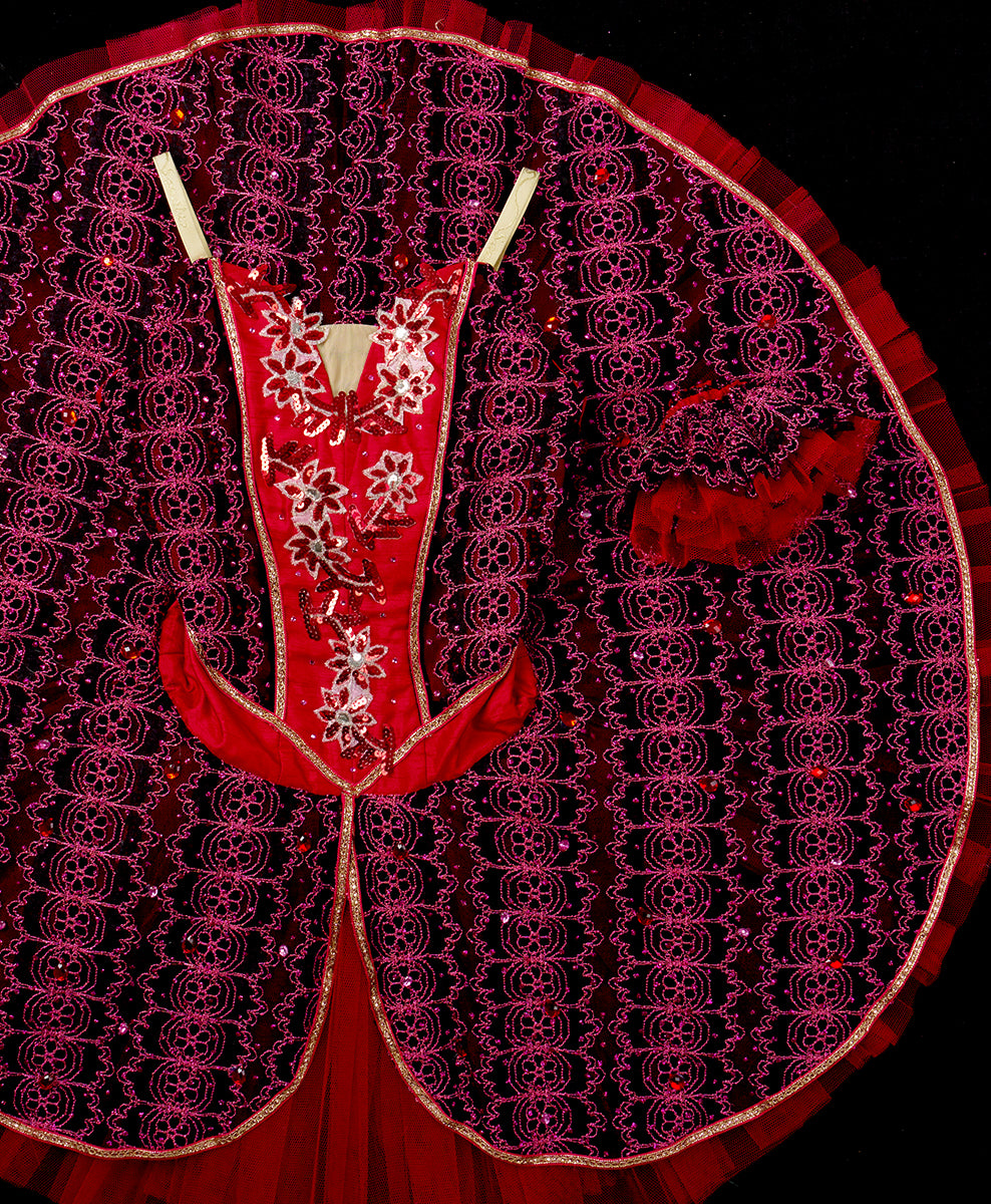 Designer Tutu Costume - A26 (Size S)