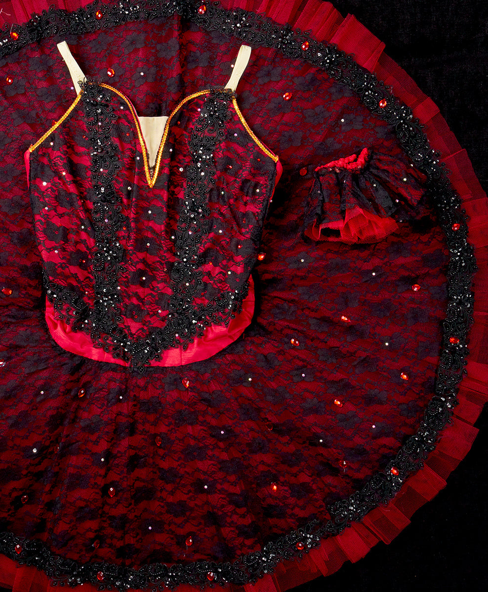 Designer Tutu Costume - A27 (Size L)