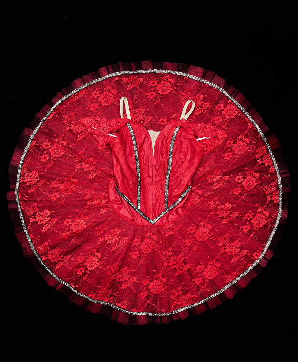 Designer Tutu Costume - A47 (Size M)