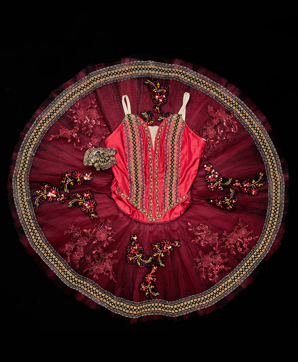 Designer Tutu Costume - A49 (Size S)