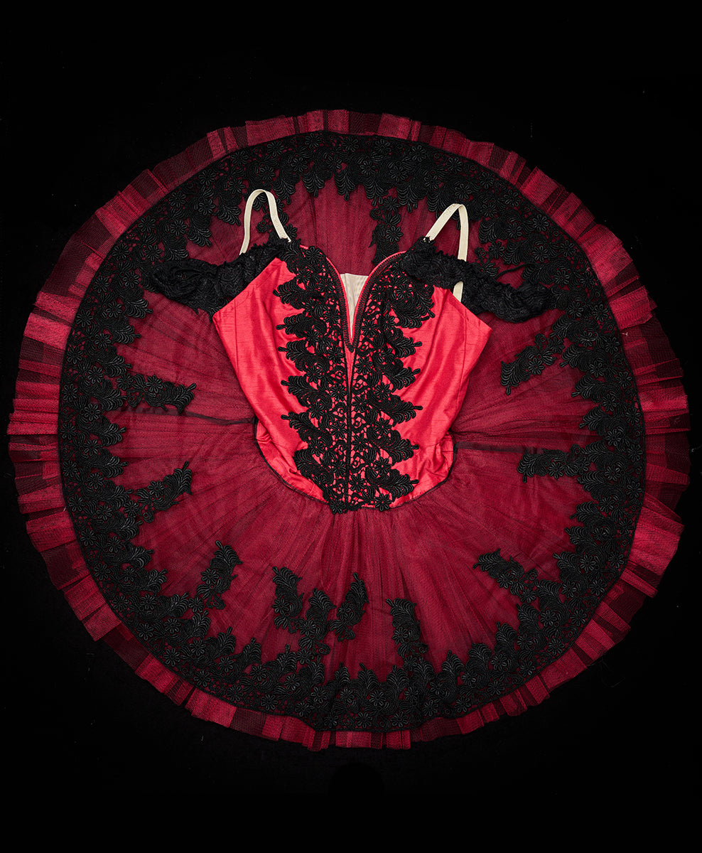 Designer Tutu Costume - A51 (Size M)