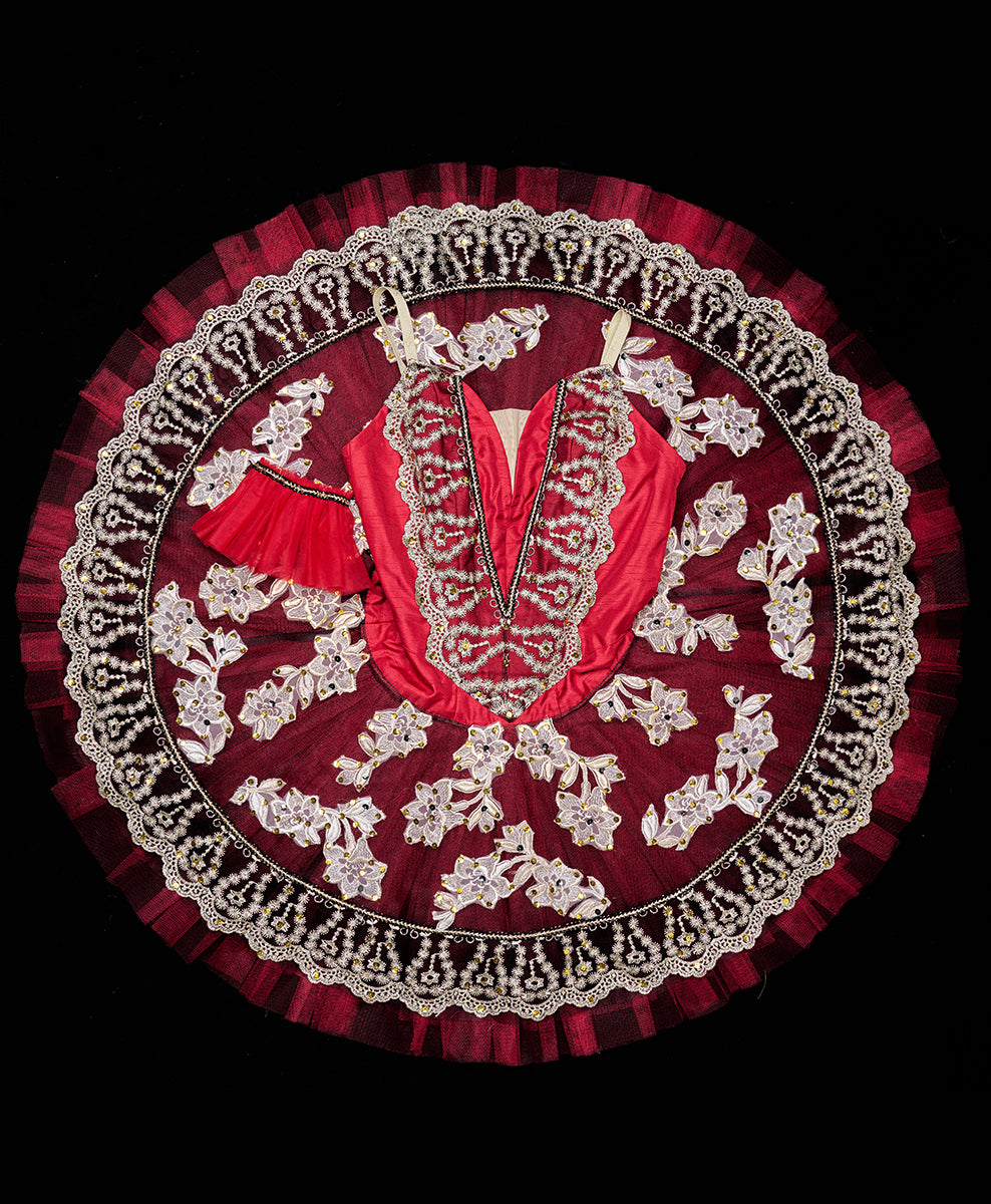 Designer Tutu Costume - A53 (Size M)