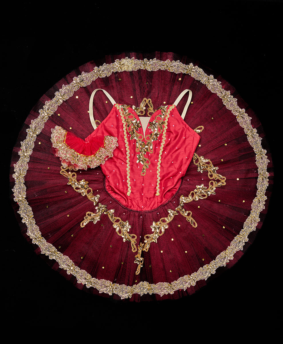 Designer Tutu Costume - A54 (Size XS)