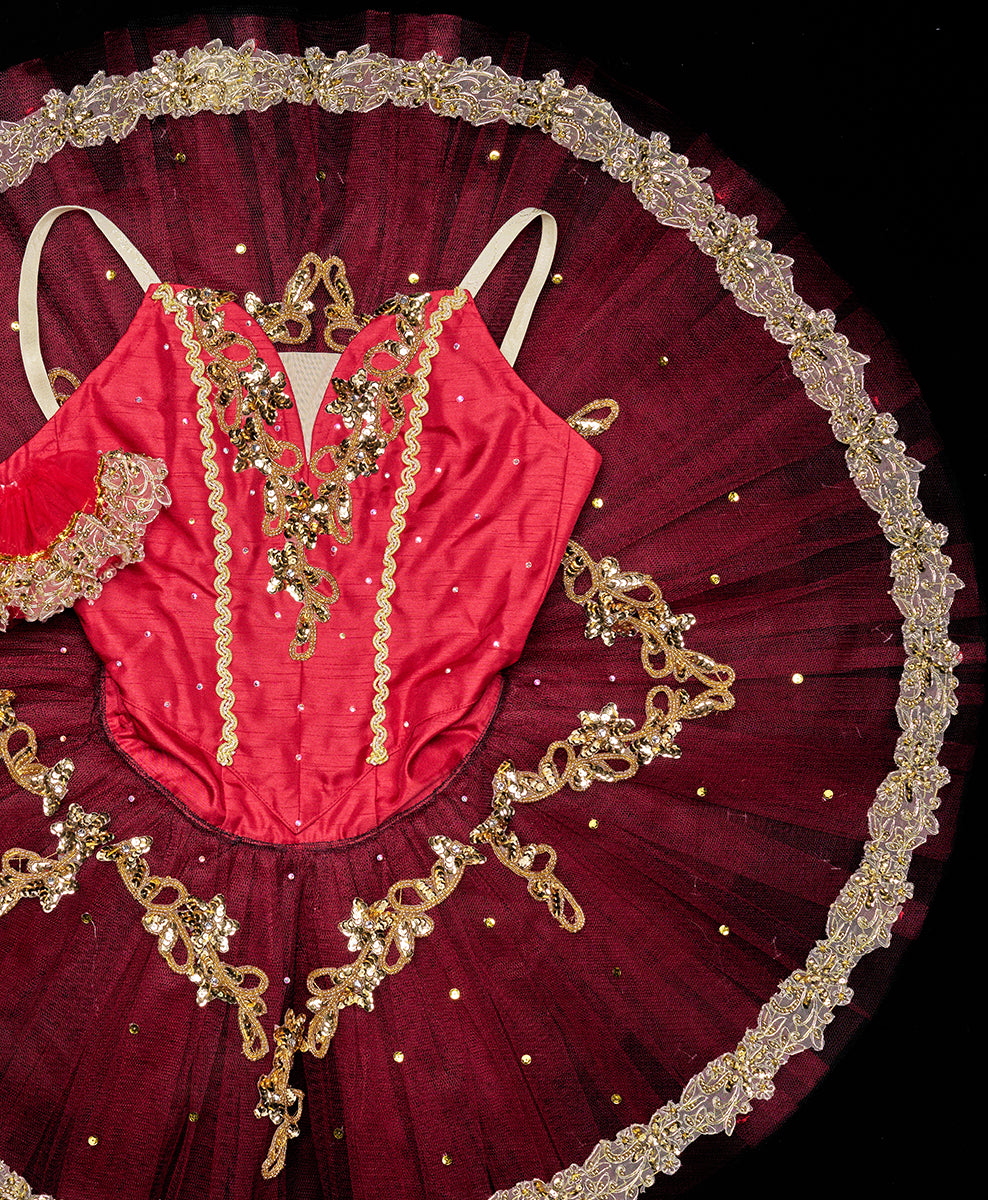 Designer Tutu Costume - A54 (Size XS)