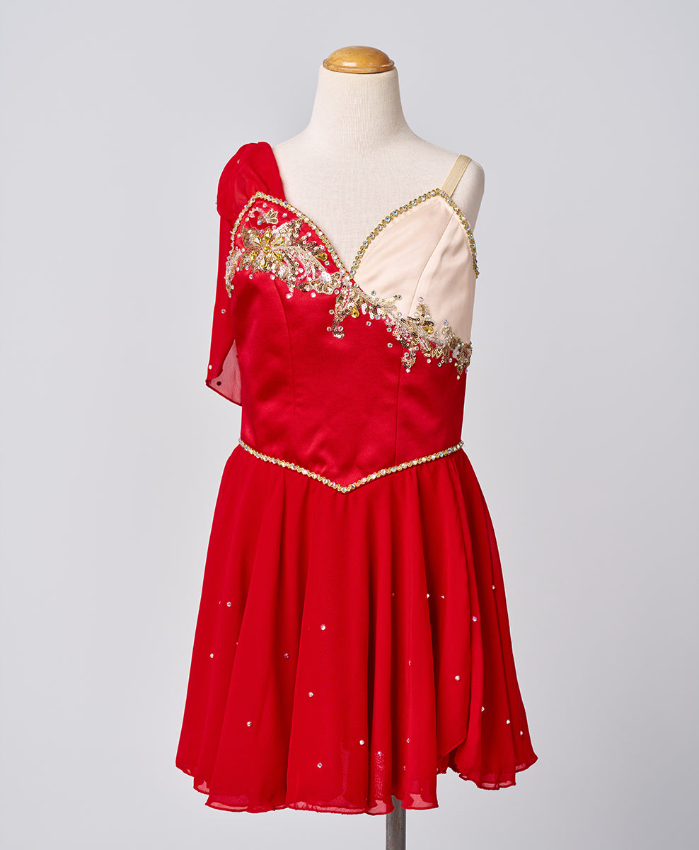 Designer Tutu Costume - C1 (Size S)