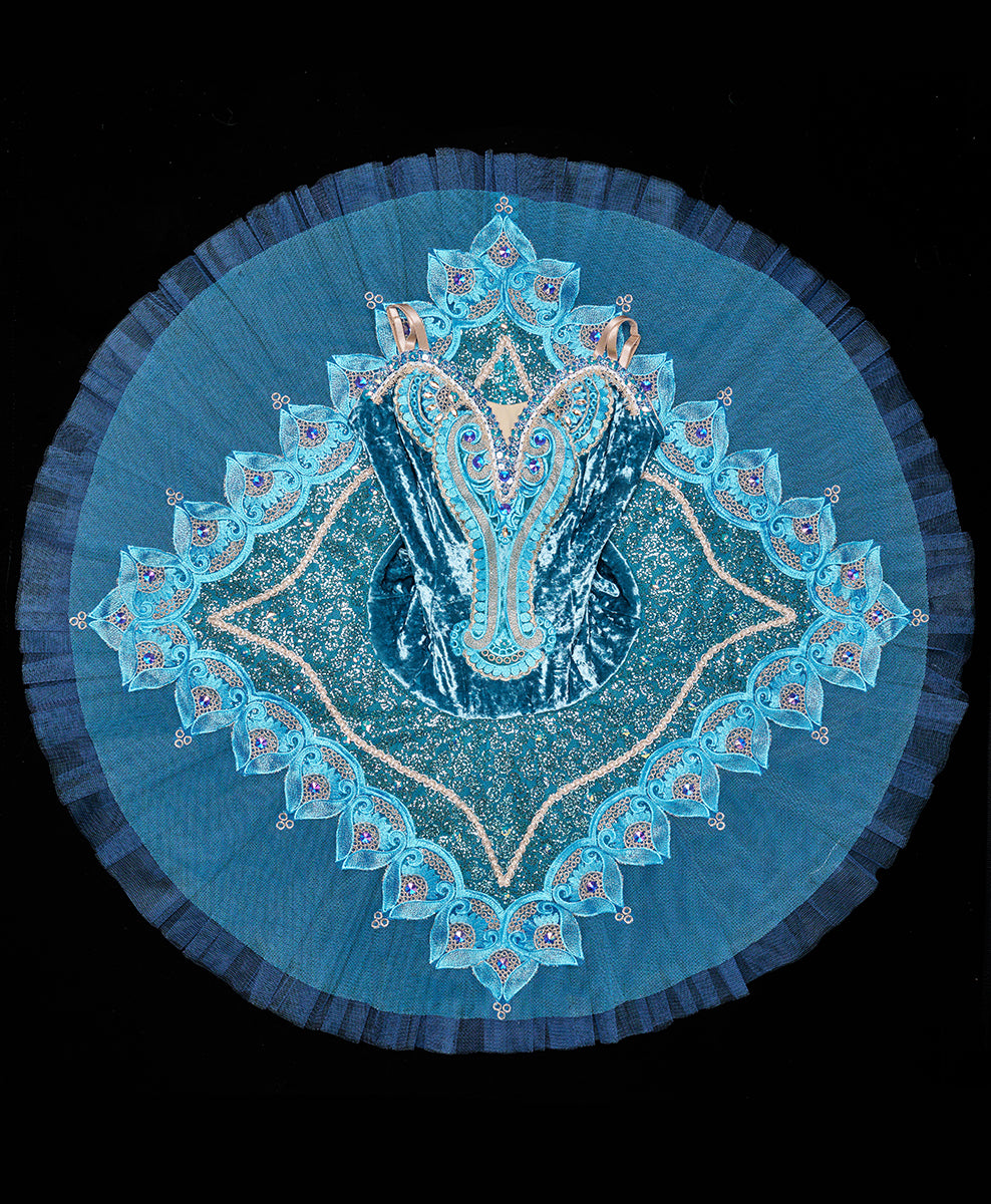 Designer Tutu Costume - C6 (Size M)