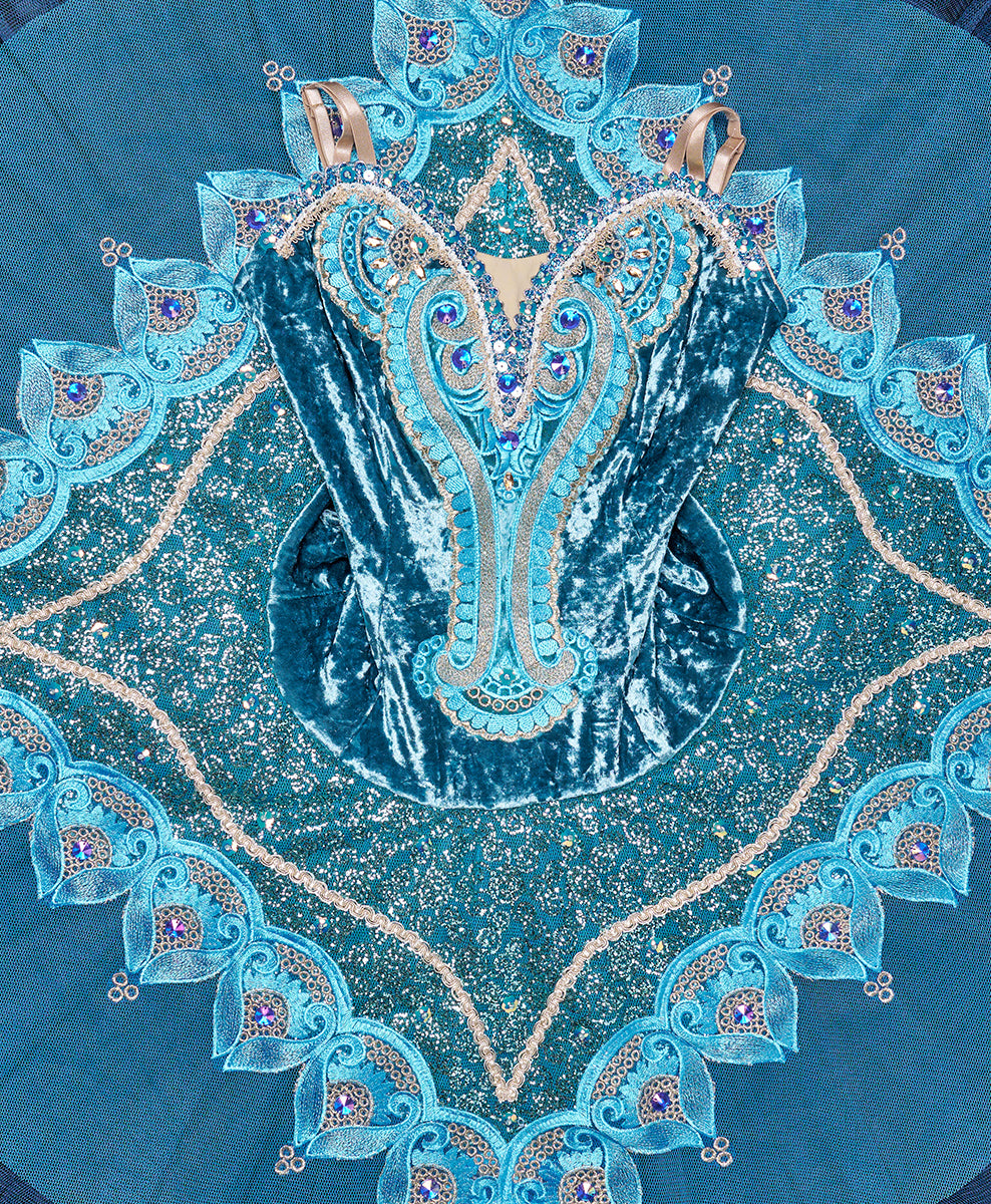 Designer Tutu Costume - C6 (Size M)